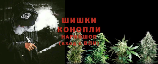 амф Покачи