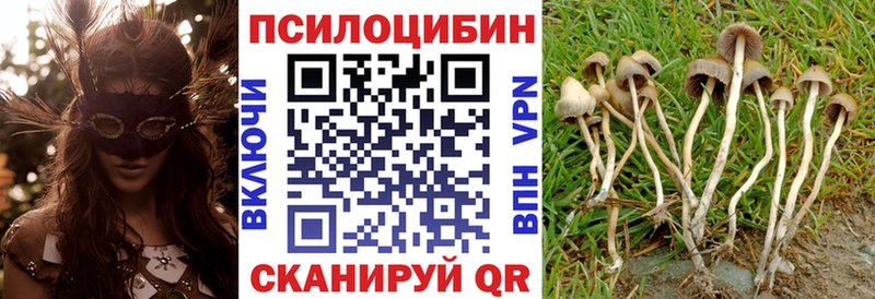 Псилоцибиновые грибы GOLDEN TEACHER darknet Telegram Артёмовский